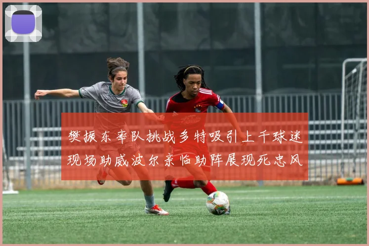 樊振东率队挑战多特吸引上千球迷现场助威波尔亲临助阵展现死忠风采
