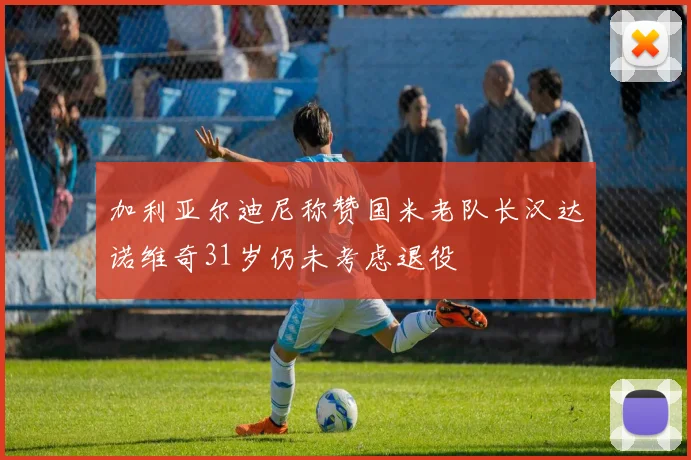 加利亚尔迪尼称赞国米老队长汉达诺维奇31岁仍未考虑退役