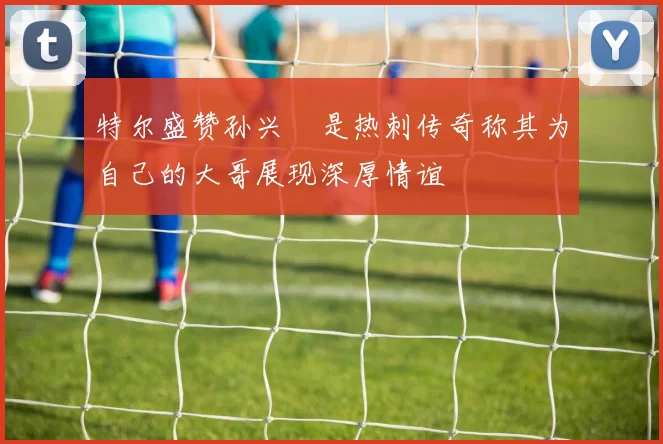 特尔盛赞孙兴慜是热刺传奇称其为自己的大哥展现深厚情谊